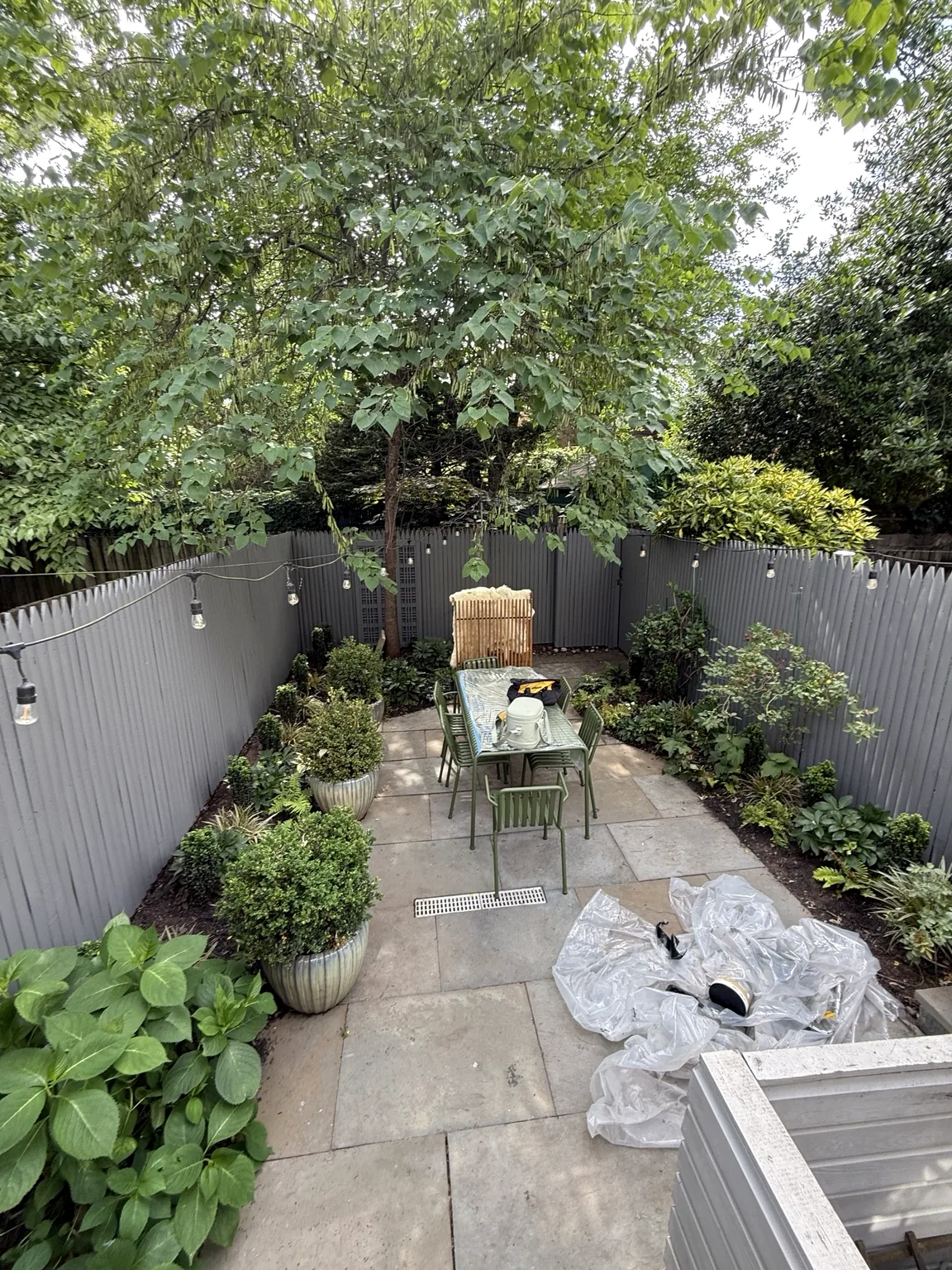 Maintained landscaped patio garden