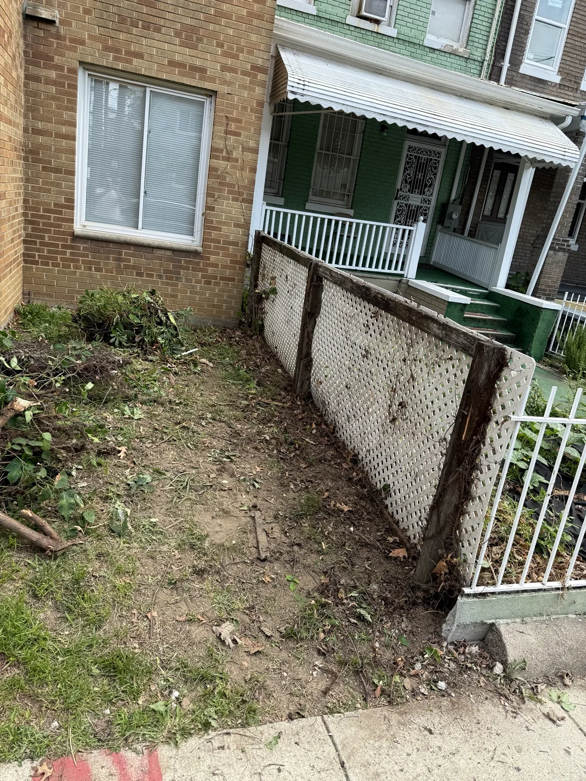 Property cleanup and overgrowth removal